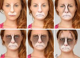 halloween grumpy cat makeup tutorial