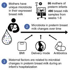 t milk microbiota