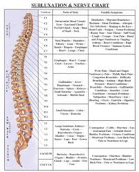 Spinal Nerve Spinal Nerve And Muscle Chart