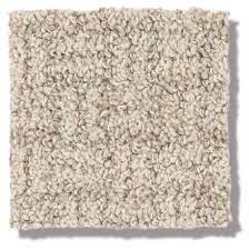 beige carpeting in south florida