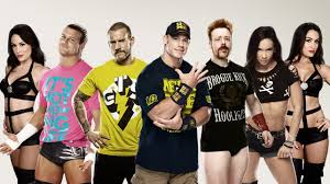 Image result for wwe superstar male and female