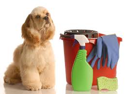 15 pet safe non toxic cleaners we love