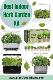 best indoor herb garden kit 2021 herb
