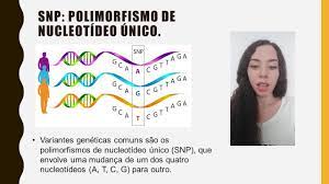A INFLUÊNCIA DOS POLIMORFISMOS GENÉTICOS DO GENE MTOR NA PERIODONTITE. - YouTube
