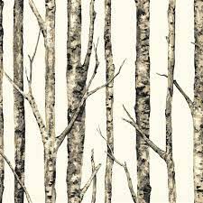 Birch Tree Wallpaper York 33 Neutral