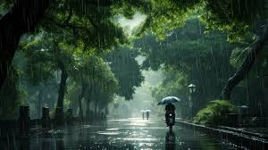 rainy day enjoying rainfall