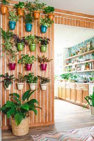 41 Unique Indoor Plant Wall Ideas For