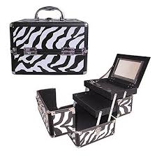 10 pro aluminum makeup train case