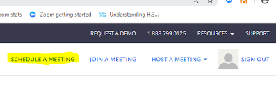 You can bypass the app and run it directly in the browser instead if you prefer. Hosting A Virtual Meeting Staff Portal University Of Gothenburg