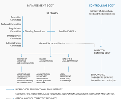 Structure And Organization Chart Consejo Regulador Doca
