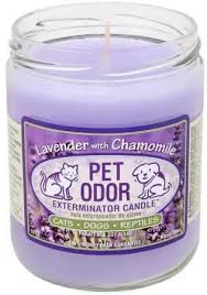 Buy pet odor exterminator candle, clothesline fresh, 13 oz: Specialty Pet Products Amber Patchouli Pet Odor Exterminator 13 Ounce Jar Candle Amber Patchouli 1 Home Kitchen Amazon Com