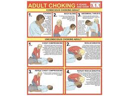Choking First Aid Chart Poster Print By Gwen Shockeyscience Source 18 X 24