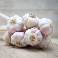 Generally speaking, it is best to harvest your crop once most of the leaves on the plants have turned yellow or brownish, and begun to flop over to the ground. 7 Ways To Make Garlic Last Longer How To Store Garlic