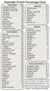 Fruit And Vegetable Protein Chart For The Home Vegetable