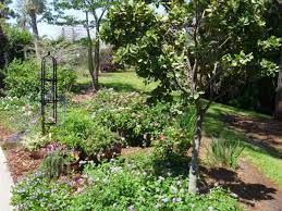 A Cottage Garden In Southern Florida