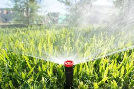 when and how to fertilize your lawn