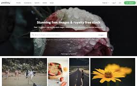 We built burst to provide designers, developers, bloggers and entrepreneurs with access to beautiful free. 100 Places To Find The Best Free Stock Photos 2021