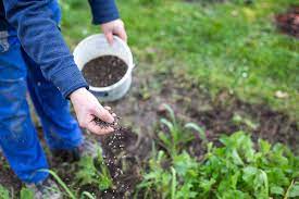 best fertilizers for growing vegetables