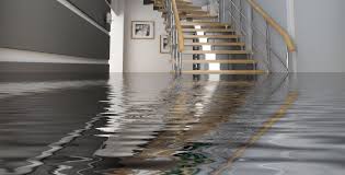 Flood Cleanup Service Insurance