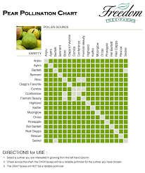 Pear Pollination Chart Bees Fruit Trees Apple Orchard