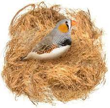 Sungrow Bird Nesting Coconut Fiber