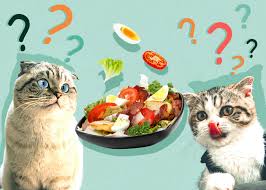 can cats eat salad health benefits