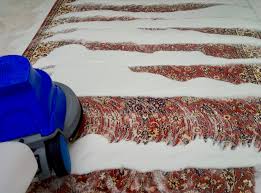 how to remove mold from carpets rugs