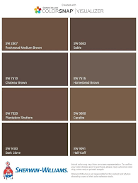 Dark Brown Paint Color