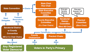 Texas Democratic State And County Structure Collin County
