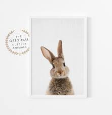 bunny rabbit print nursery wall art
