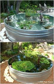 15 Lovely Diy Pond Designs
