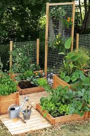 How To Start Vegetable Garden At Home