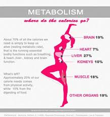 Image result for SPEED UP YOUR METABOLISM