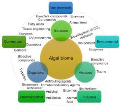 bioactive compounds from algal biome