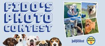 It was released as an open standard by the fido alliance. Fido S Photo Contest The Santa Barbara Independent