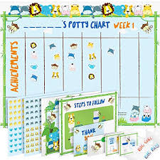 Potty Training Chart For Toddlers Reward Your Child Sticker Chart 4 Week Reward Chart Certificate Instruction Booklet And More For Boys And