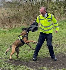 police dog bite training