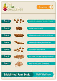 What Does Your Poo Look Like Bristol Stool Form Scale
