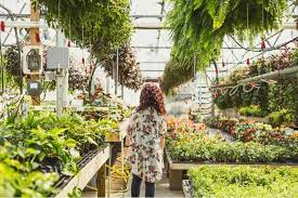 Shade Cloth To Protect Plants