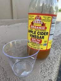 apple cider vinegar for my dog