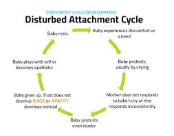 The Cycle Of Attachment Rad Connection