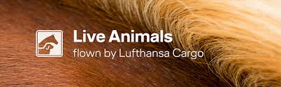 Pet vet express ⭐ , united states, dyer, 728 joliet street: Live Animals Lufthansa Cargo