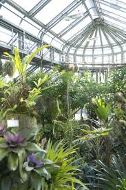 the botanic garden in berlin joelix