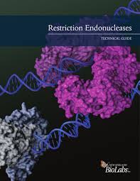 Restriction Endonucleases Technical Guide 2016 By New