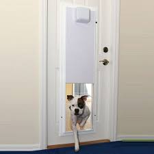 premium pet doors best in the