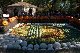 best pumpkin patch in texas