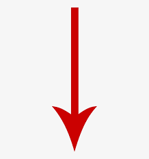 Scroll Down For The Quiz Scroll Down Arrow Png - Long Red Arrow Png PNG Image | Transparent PNG Free Download on SeekPNG