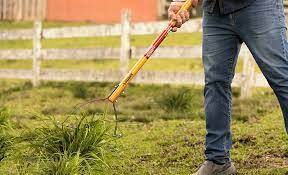 The Best Weeding Tools For Your Yard