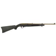 ruger 10 22 and