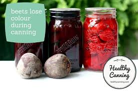 canning plain beets healthy canning